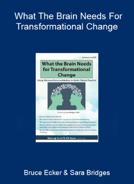 Bruce Ecker & Sara Bridges - What The Brain Needs For Transformational Change