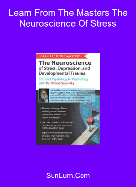 Learn From The Masters The Neuroscience Of Stress