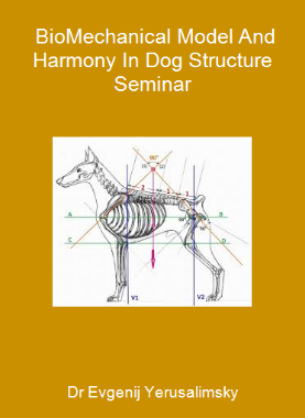 Dr Evgenij Yerusalimsky - BioMechanical Model And Harmony In Dog Structure Seminar