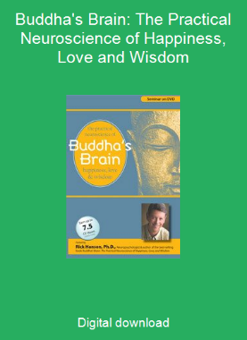 Buddha's Brain: The Practical Neuroscience of Happiness, Love and Wisdom
