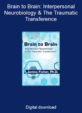 Brain to Brain: Interpersonal Neurobiology & The Traumatic Transference