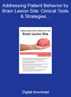 Addressing Patient Behavior by Brain Lesion Site: Clinical Tools & Strategies Specific to Patient Deficits