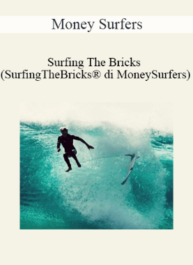Money Surfers - Surfing The Bricks