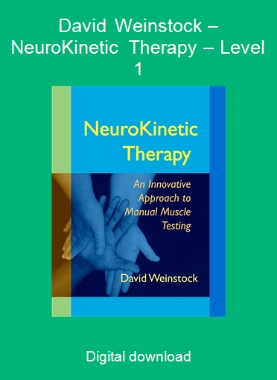 David Weinstock – NeuroKinetic Therapy – Level 1
