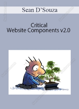 Sean D’Souza - Critical Website Components v2.0 