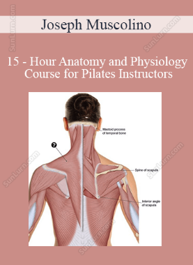 Joseph Muscolino - 15 - Hour Anatomy and Physiology Course for Pilates Instructors