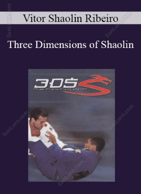 Vitor Shaolin Ribeiro - Three Dimensions of Shaolin