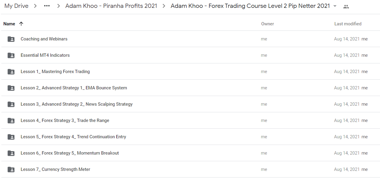 Adam Khoo - Forex Trading Course Level 2 Pip Netter 2021