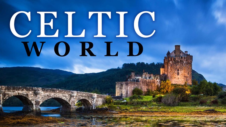 TTC - The Celtic World Medbay