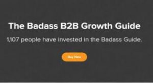 Josh Braun - The Badass B2B Growth Guide 2020