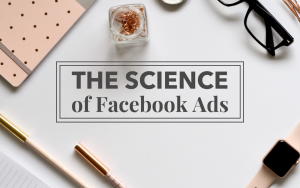 Mojca Zove - The Science Of Facebook Ads - Professional