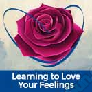 Audio Session 2: Learning to Love Your Feelings