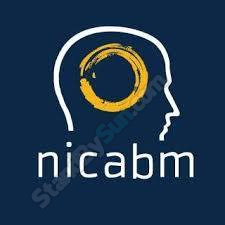 NICABM - How to Work with the Patterns That Sustain Depression