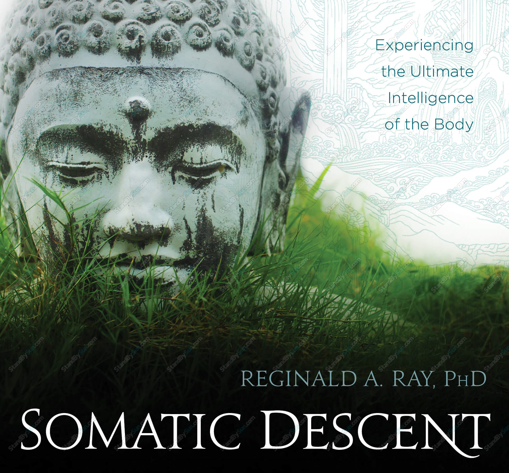 Reginald A. Ray - Somatic Descent Experiencing the Ultimate Intelligence of the Body