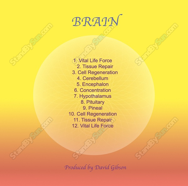 Sound Healing Center - Brain