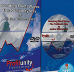 Justine Williams-Lara - Counting Elliott Waves. The Profitunity Way DVD (with Russian subtitles)