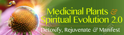 David Crow - Medicinal Plants & Spiritual Evolution
