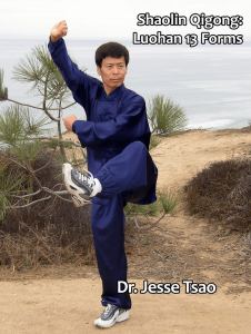 Master Tsao - Shaolin Qigong Luohan 13 Forms