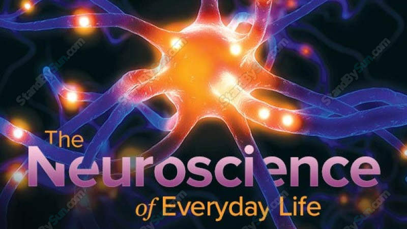 TTC - Neuroscience of Everyday Life